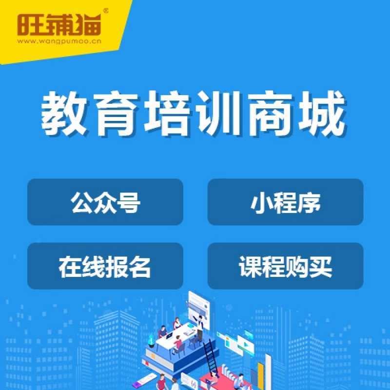 分销系统建设：提升渠道管理效率