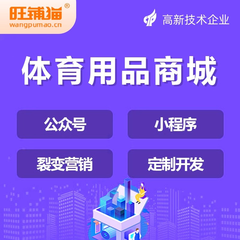 商城系统终身授权对比按年付费的长期收益